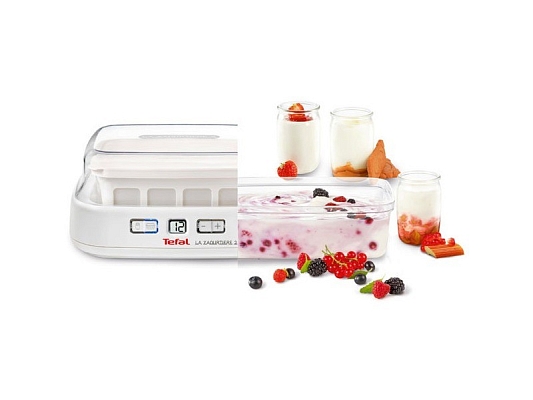 ���������� Tefal YG 5001