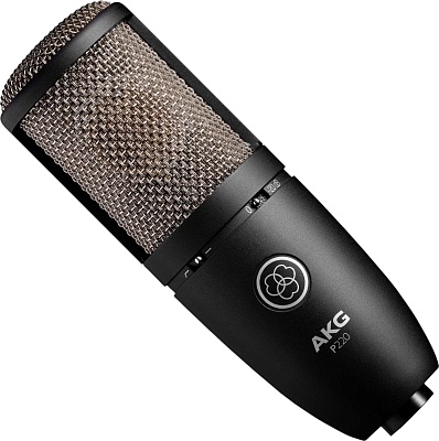 AKG P220