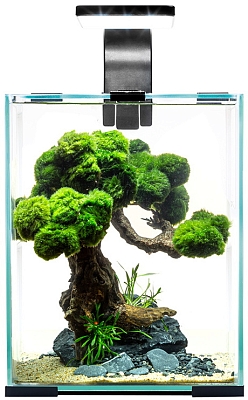 Aquael Shrimp Set Day&Night [Shrimp Set D&N 10]