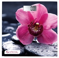 ���� Centek CT-2421