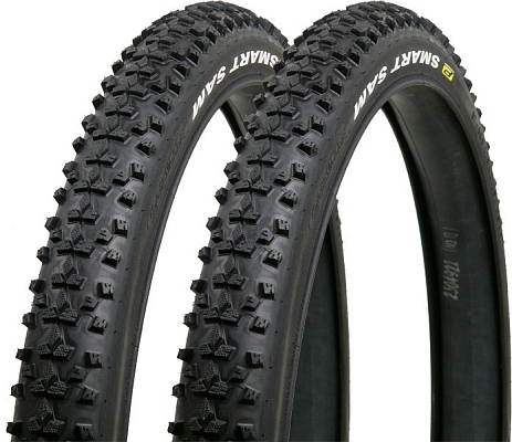 Schwalbe Smart Sam Performance Wired [29x2.1]