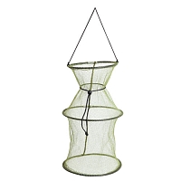 ����� Salmo 50�25�25��