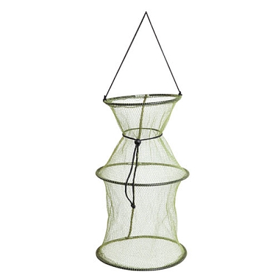 ����� Salmo 50�25�25��