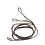 Bear Archery ���� ��� ���� Bear Domain
