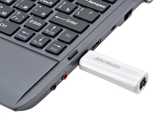 �� ����� Aver Media AverTV TD310