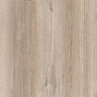 ������� Kastamonu Sunfloor ��� ��������� SF32T-02