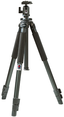 ������ Benro A-200EX/BH-0