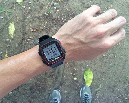 ������� ������ Garmin Forerunner 25