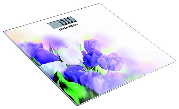 ���� Redmond RS-733