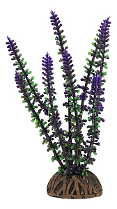 Laguna ����� 16 �� ������������� �������� ��� ��������� Laguna ����� 16 ��