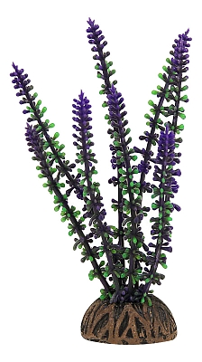 Laguna ����� 16 �� ������������� �������� ��� ��������� Laguna ����� 16 ��