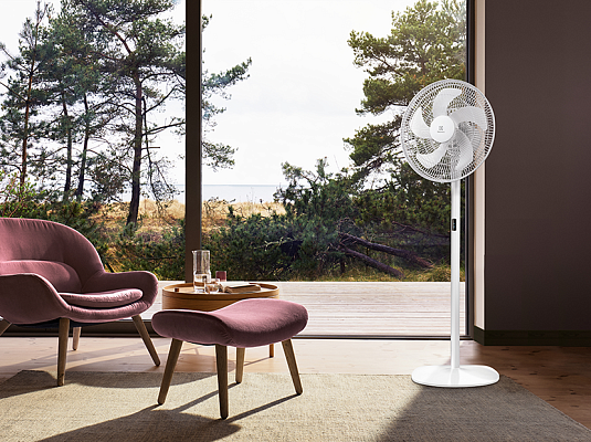 ���������� ��������� Electrolux EFF-1002i