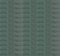 �������� Kiwidition Tihi S (K4-019-OG)