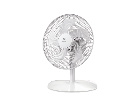 ���������� ��������� Electrolux EFF - 1005