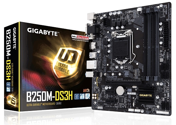 ����������� ����� Gigabyte GA-B250M-DS3H