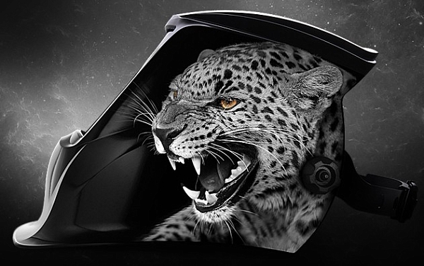 ����� ��������� Bars MS 307