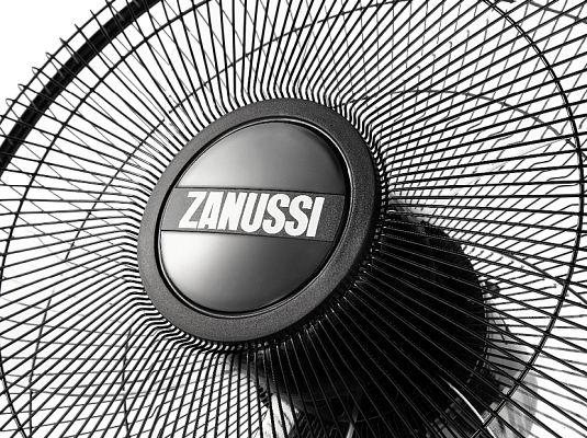 ���������� ��������� Zanussi ZFF - 907