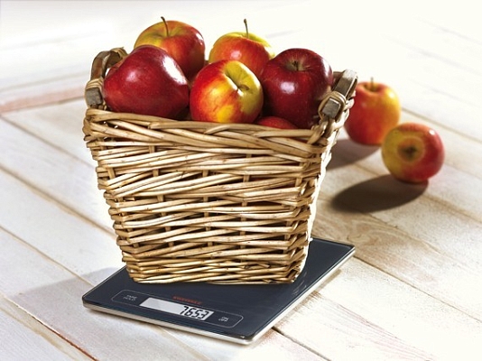 ���� SOEHNLE 67080 Page Profi