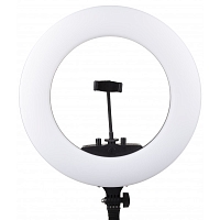 ������������ ���������� Raylab RL-0418 Kit ���������