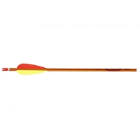 Easton Archery ������ ��� ���� Easton Genesis 1820