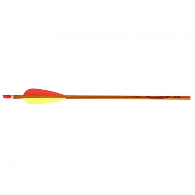 Easton Archery ������ ��� ���� Easton Genesis 1820