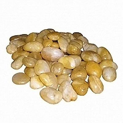 S/YS �����-������ ����������� ������, ������, 1��, 1 ��